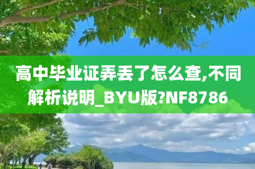 高中毕业证弄丢了怎么查,不同解析说明_BYU版?NF8786