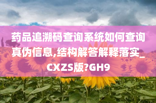 药品追溯码查询系统如何查询真伪信息,结构解答解释落实_CXZS版?GH9