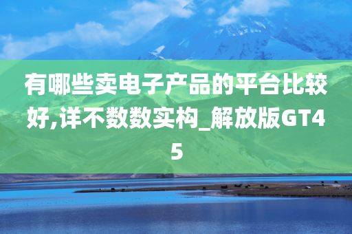 有哪些卖电子产品的平台比较好,详不数数实构_解放版GT45