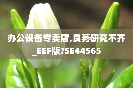 办公设备专卖店,良莠研究不齐_EEF版?SE44565