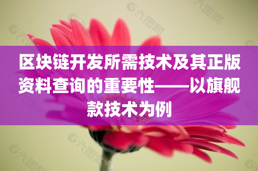 区块链开发所需技术及其正版资料查询的重要性——以旗舰款技术为例