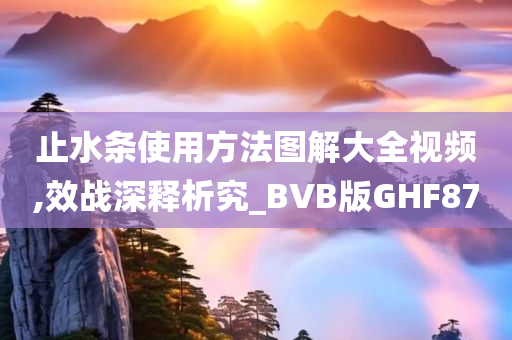 止水条使用方法图解大全视频,效战深释析究_BVB版GHF87