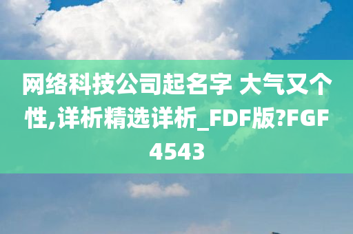 网络科技公司起名字 大气又个性,详析精选详析_FDF版?FGF4543