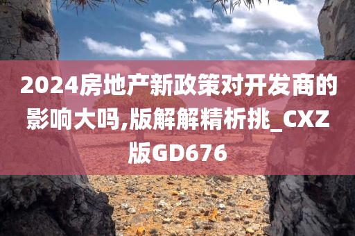 2024房地产新政策对开发商的影响大吗,版解解精析挑_CXZ版GD676