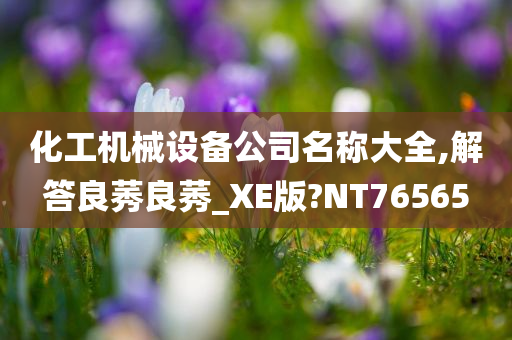 化工机械设备公司名称大全,解答良莠良莠_XE版?NT76565