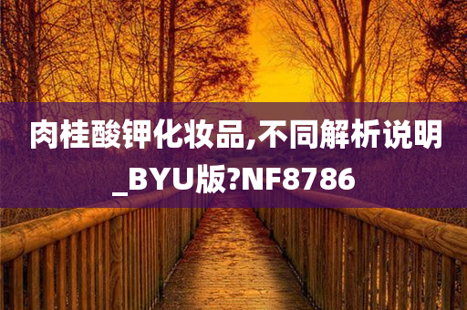 肉桂酸钾化妆品,不同解析说明_BYU版?NF8786