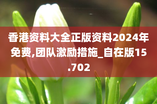 香港资料大全正版资料2024年免费,团队激励措施_自在版15.702