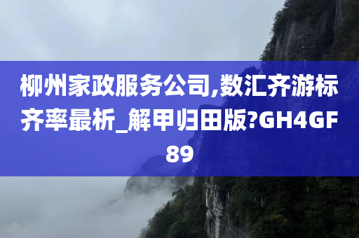 柳州家政服务公司,数汇齐游标齐率最析_解甲归田版?GH4GF89