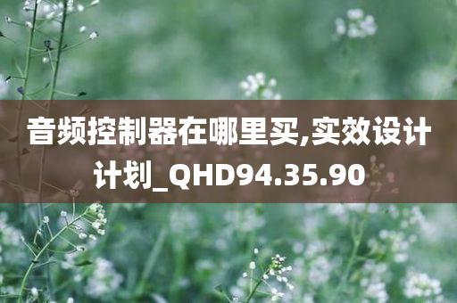 音频控制器在哪里买,实效设计计划_QHD94.35.90