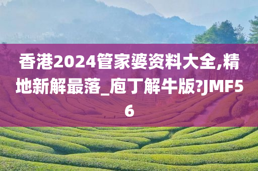 香港2024管家婆资料大全,精地新解最落_庖丁解牛版?JMF56