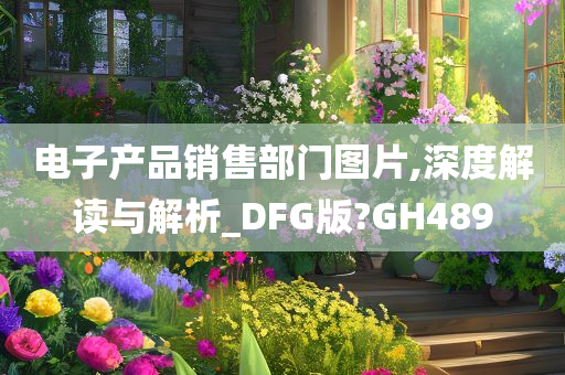 电子产品销售部门图片,深度解读与解析_DFG版?GH489