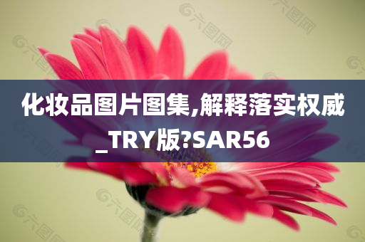 化妆品图片图集,解释落实权威_TRY版?SAR56