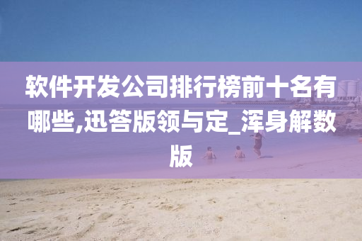 软件开发公司排行榜前十名有哪些,迅答版领与定_浑身解数版