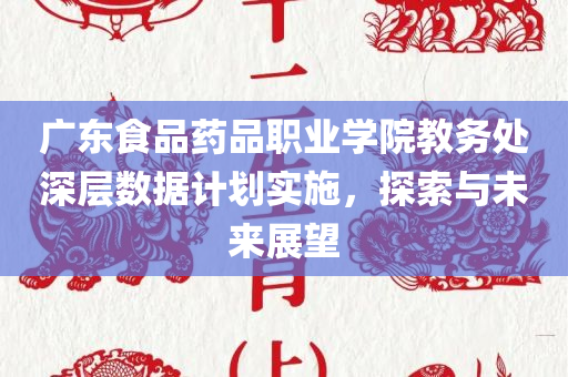 广东食品药品职业学院教务处深层数据计划实施，探索与未来展望