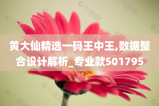 黄大仙精选一码王中王,数据整合设计解析_专业款501795