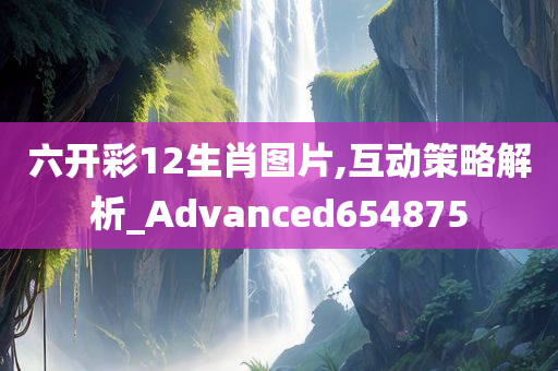 六开彩12生肖图片,互动策略解析_Advanced654875