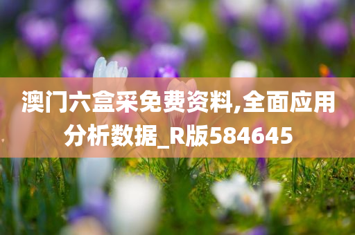 澳门六盒采免费资料,全面应用分析数据_R版584645