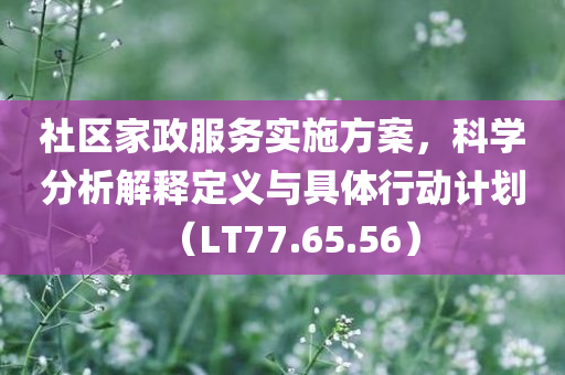 社区家政服务实施方案，科学分析解释定义与具体行动计划（LT77.65.56）