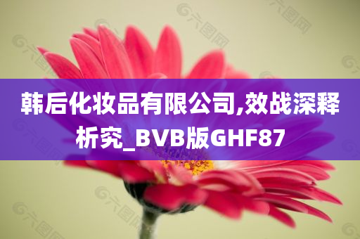 韩后化妆品有限公司,效战深释析究_BVB版GHF87