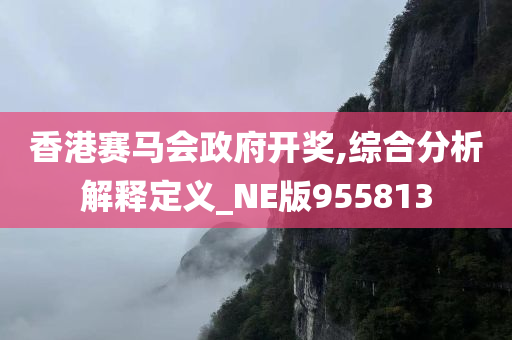 香港赛马会政府开奖,综合分析解释定义_NE版955813