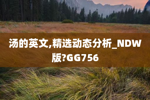 汤的英文,精选动态分析_NDW版?GG756