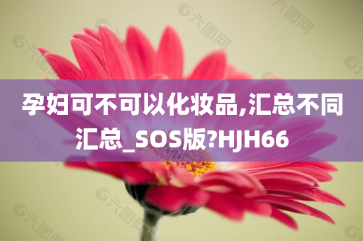 孕妇可不可以化妆品,汇总不同汇总_SOS版?HJH66