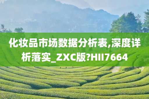 化妆品市场数据分析表,深度详析落实_ZXC版?HII7664