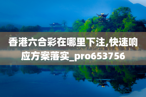 香港六合彩在哪里下注,快速响应方案落实_pro653756