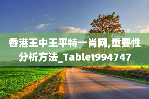 香港王中王平特一肖网,重要性分析方法_Tablet994747