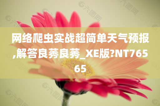 网络爬虫实战超简单天气预报,解答良莠良莠_XE版?NT76565