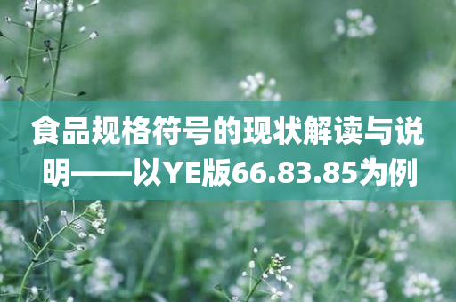 食品规格符号的现状解读与说明——以YE版66.83.85为例