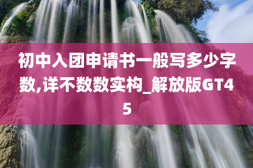 初中入团申请书一般写多少字数,详不数数实构_解放版GT45