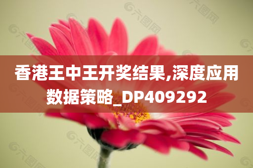 香港王中王开奖结果,深度应用数据策略_DP409292