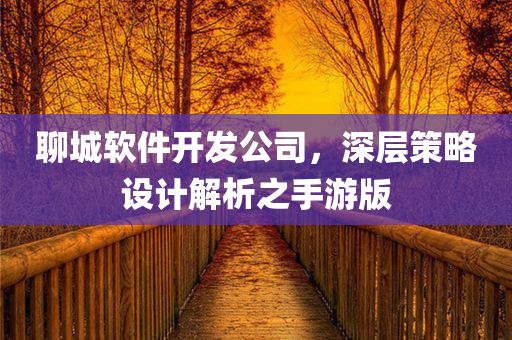 聊城软件开发公司，深层策略设计解析之手游版