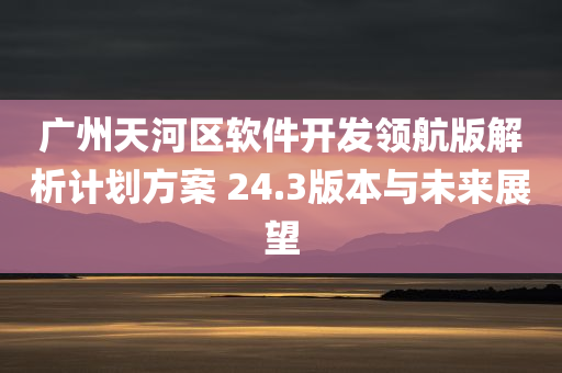 广州天河区软件开发领航版解析计划方案 24.3版本与未来展望