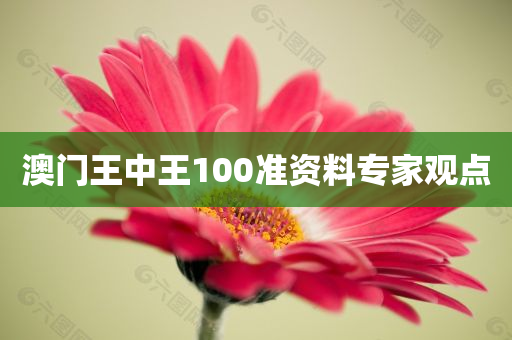 澳门王中王100准资料专家观点