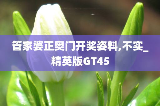 管家婆正奥门开奖姿料,不实_精英版GT45