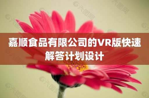 嘉顺食品有限公司的VR版快速解答计划设计