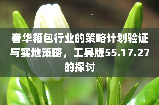 奢华箱包行业的策略计划验证与实地策略，工具版55.17.27的探讨