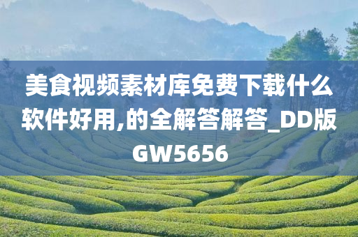 美食视频素材库免费下载什么软件好用,的全解答解答_DD版GW5656