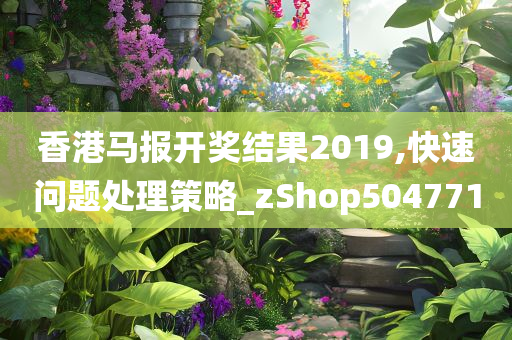 香港马报开奖结果2019,快速问题处理策略_zShop504771