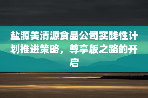 盐源美清源食品公司实践性计划推进策略，尊享版之路的开启