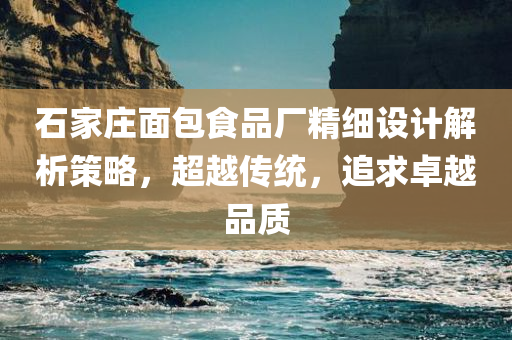 石家庄面包食品厂精细设计解析策略，超越传统，追求卓越品质