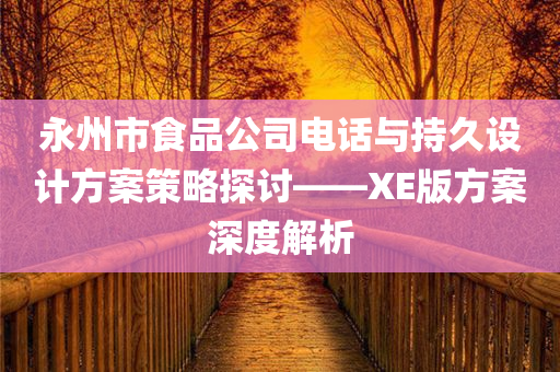 永州市食品公司电话与持久设计方案策略探讨——XE版方案深度解析