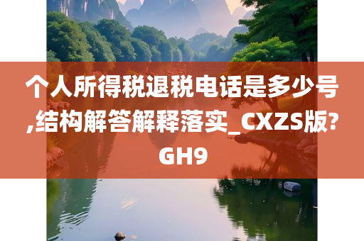 个人所得税退税电话是多少号,结构解答解释落实_CXZS版?GH9