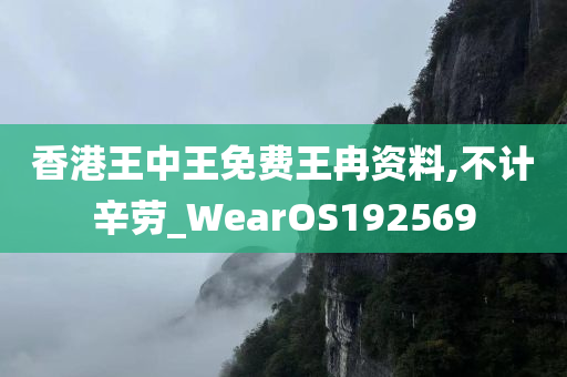 香港王中王免费王冉资料,不计辛劳_WearOS192569