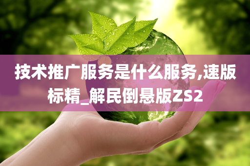 技术推广服务是什么服务,速版标精_解民倒悬版ZS2