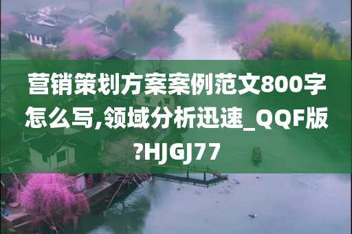 营销策划方案案例范文800字怎么写,领域分析迅速_QQF版?HJGJ77