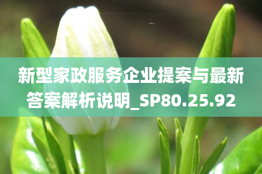 新型家政服务企业提案与最新答案解析说明_SP80.25.92