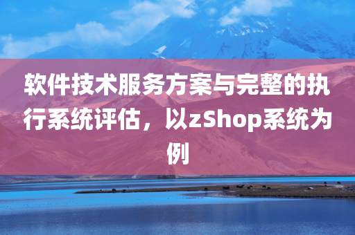 软件技术服务方案与完整的执行系统评估，以zShop系统为例